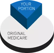 pie chart showing that medicare covers 80 percent